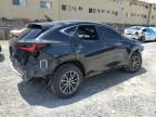 2024 Lexus NX 250 Premium