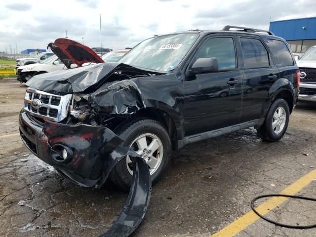 2010 Ford Escape XLT