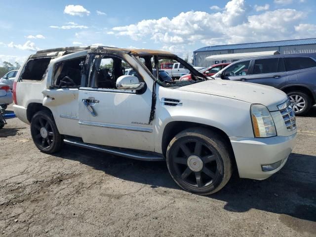 2010 Cadillac Escalade Luxury