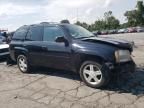 2007 Chevrolet Trailblazer LS