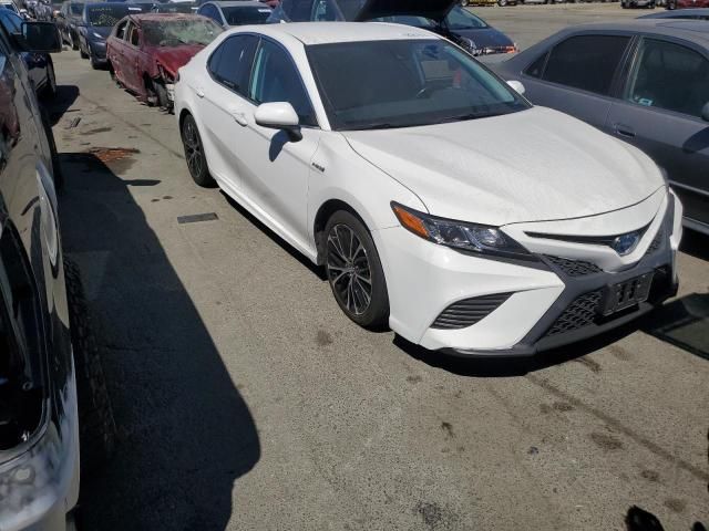 2019 Toyota Camry Hybrid