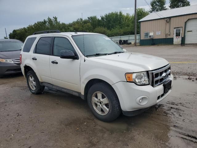 2009 Ford Escape XLT