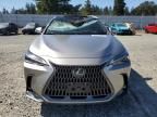 2024 Lexus NX 350 Luxury