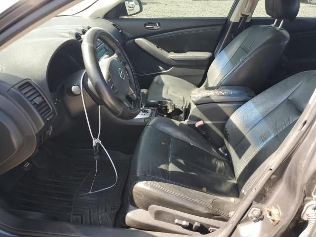 2010 Nissan Altima Base