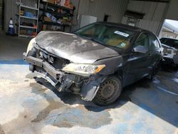 Salvage cars for sale at New Orleans, LA auction: 2008 Toyota Camry CE