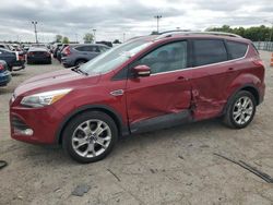 Salvage cars for sale from Copart Indianapolis, IN: 2014 Ford Escape Titanium