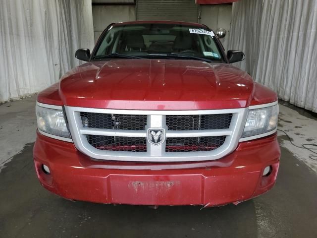 2010 Dodge Dakota SXT