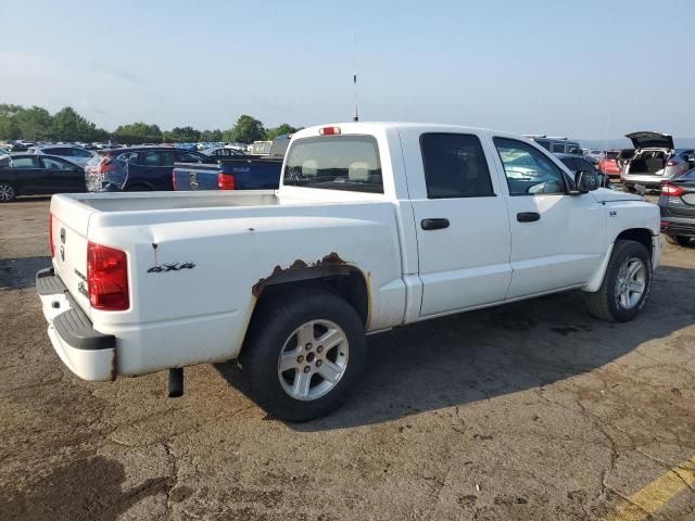 2011 Dodge Dakota SLT