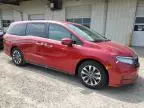 2024 Honda Odyssey EXL