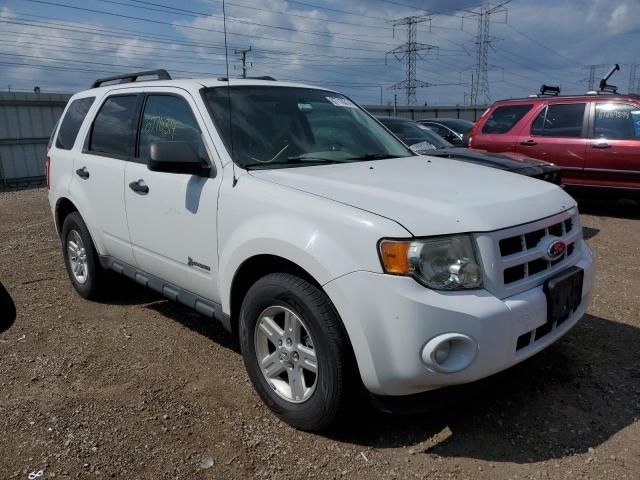 2011 Ford Escape Hybrid