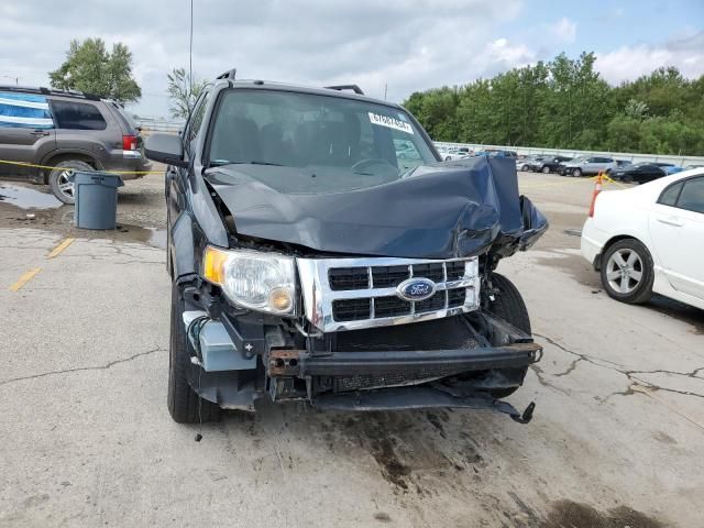 2009 Ford Escape XLT