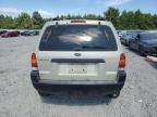 2004 Ford Escape XLS