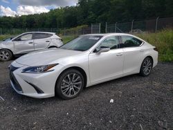 Salvage cars for sale at Baltimore, MD auction: 2019 Lexus ES 350