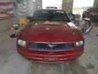 2006 Ford Mustang