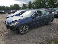 Honda salvage cars for sale: 2008 Honda Accord EXL