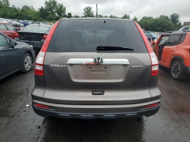 2010 Honda CR-V EXL