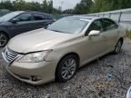 2010 Lexus ES 350