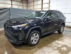 Salvage cars for sale from Copart Columbia Station, OH: 2023 Toyota Rav4 XLE