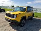 2015 Jeep Renegade Trailhawk