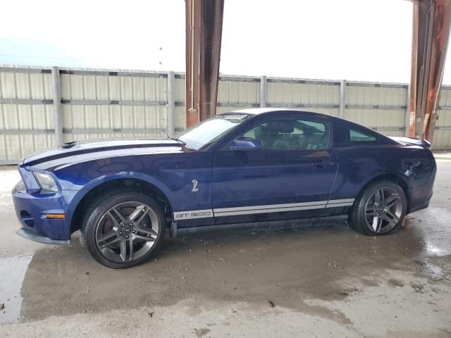 2010 Ford Mustang Shelby GT500