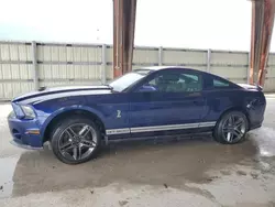 2010 Ford Mustang Shelby GT500 en venta en Homestead, FL