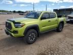 2023 Toyota Tacoma Double Cab