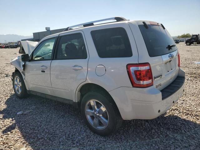 2010 Ford Escape Limited