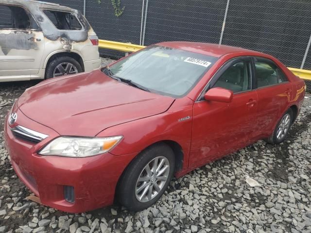 2010 Toyota Camry Hybrid