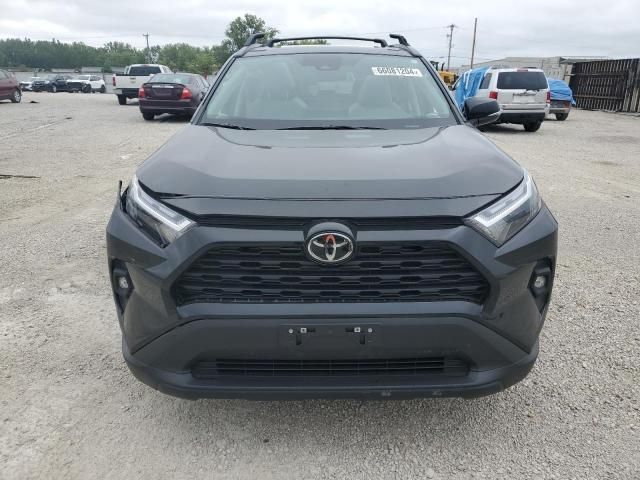 2024 Toyota Rav4 XLE Premium