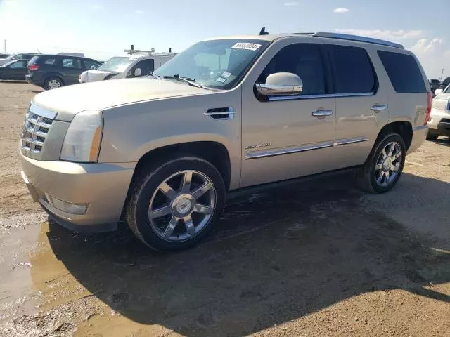 2010 Cadillac Escalade Premium