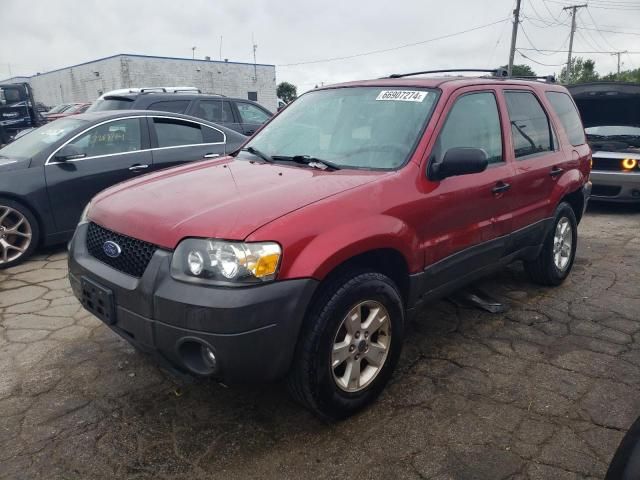 2005 Ford Escape XLT