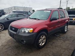 Ford Vehiculos salvage en venta: 2005 Ford Escape XLT