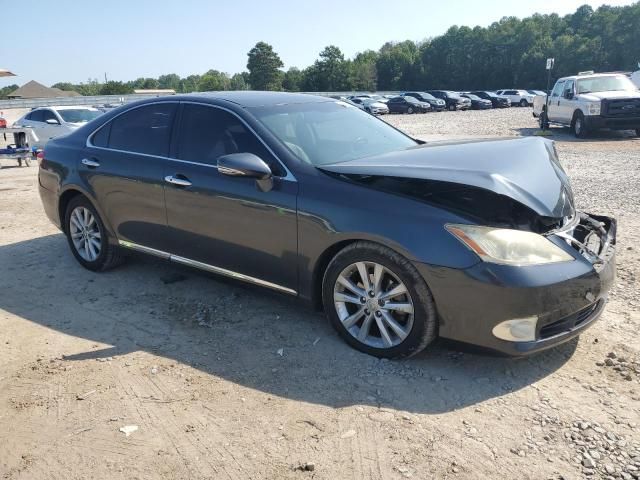 2010 Lexus ES 350