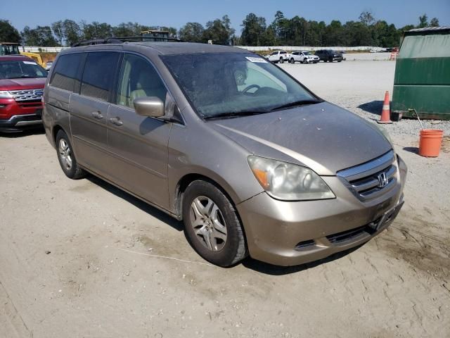 2005 Honda Odyssey EXL