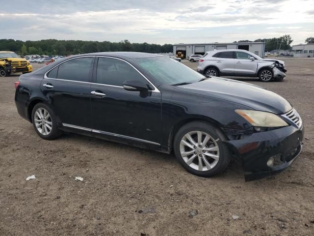 2010 Lexus ES 350