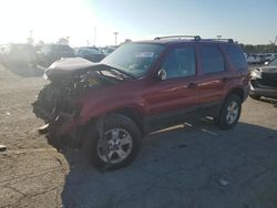 Ford salvage cars for sale: 2005 Ford Escape XLT