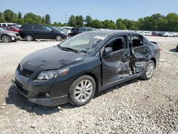 Salvage cars for sale at Columbus, OH auction: 2010 Toyota Corolla Base