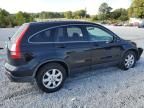 2007 Honda CR-V EXL