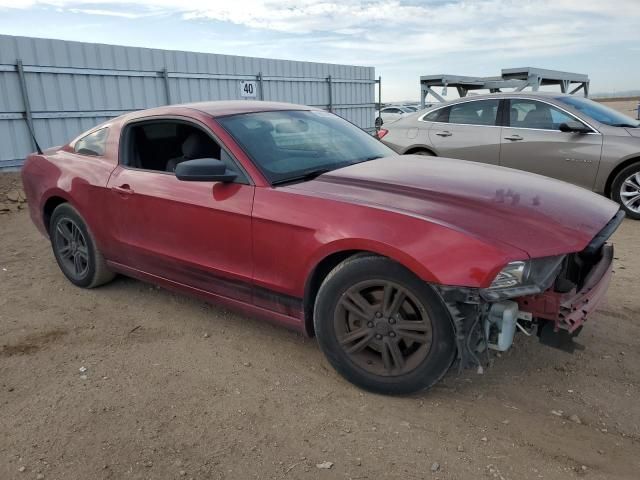 2014 Ford Mustang