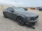 2013 Ford Mustang