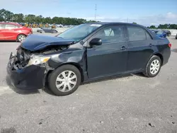 Vehiculos salvage en venta de Copart Dunn, NC: 2010 Toyota Corolla Base