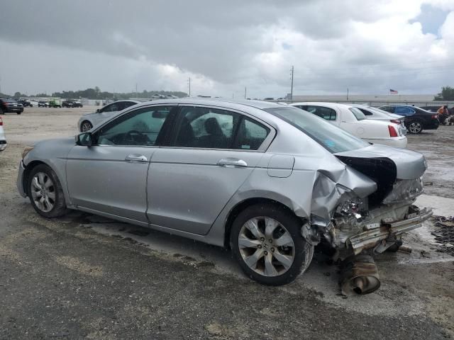 2008 Honda Accord EXL