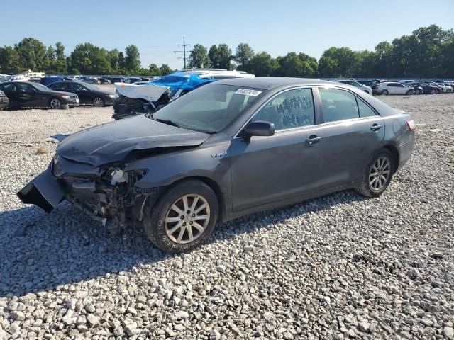 2010 Toyota Camry Hybrid