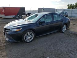 Salvage cars for sale at Greenwood, NE auction: 2020 Toyota Camry XLE