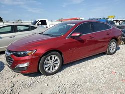 Chevrolet salvage cars for sale: 2023 Chevrolet Malibu LT