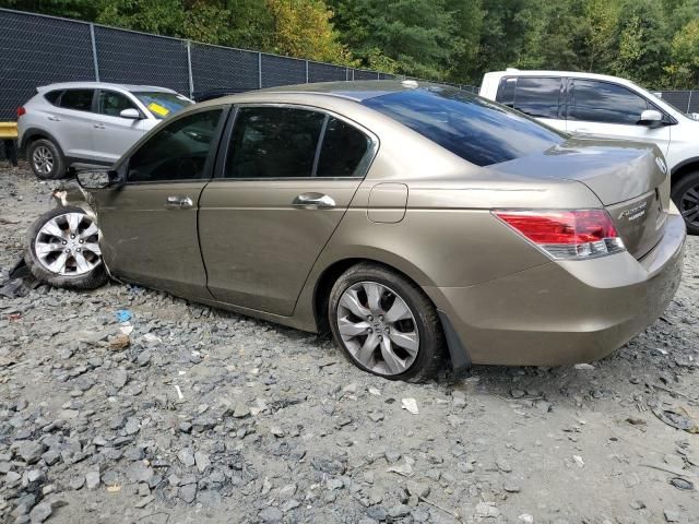 2008 Honda Accord EXL