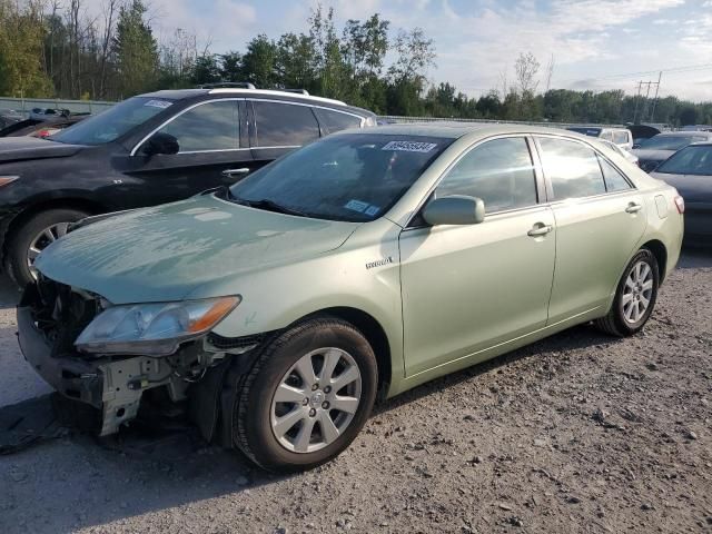 2009 Toyota Camry Hybrid