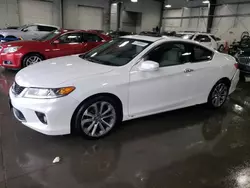 Salvage cars for sale at Ham Lake, MN auction: 2013 Honda Accord EXL