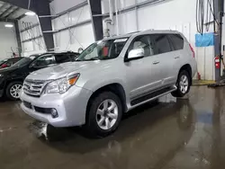 Salvage cars for sale at Ham Lake, MN auction: 2012 Lexus GX 460