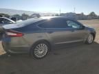 2013 Ford Fusion SE Phev